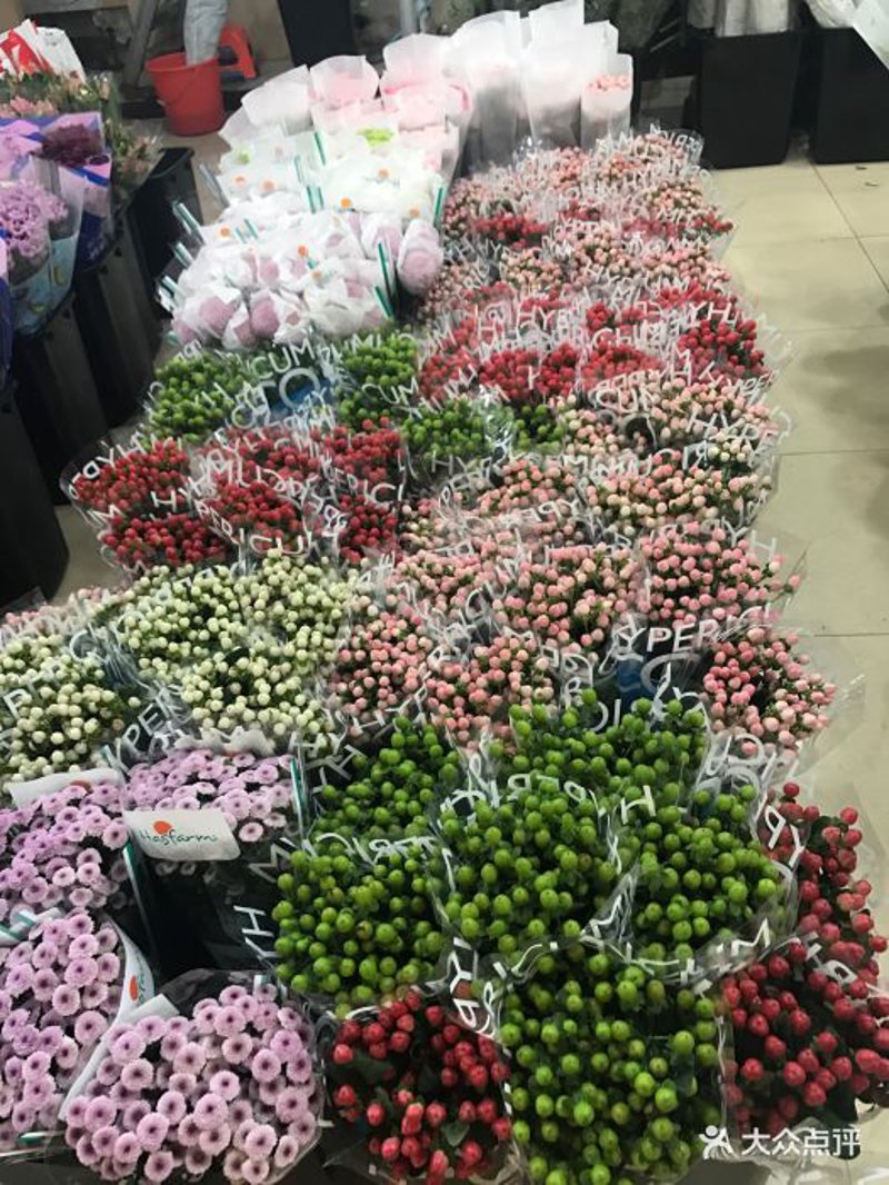 绿化苗木在城市规划中的作用与前景